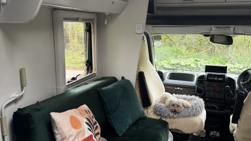 Maisy – Maisy ; un camping-car confortable et autonome à 2 couchages