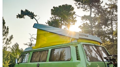 Kermit – Combi VW T25 T3 4/5 Pers Van Aménagement Westfalia Joker - 2l Aircooled flat4