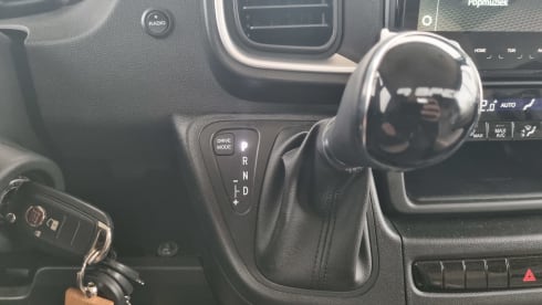 I 447 – 4p Carado integrated from 2025