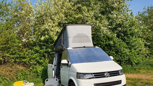 Buzz – VW California Comfort Line (T5)