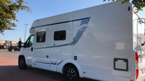 Mik – Bustner Delfin