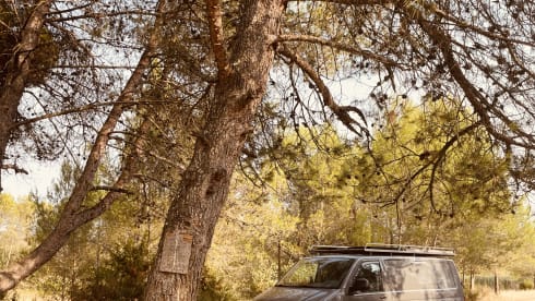 Nova – 2p Volkswagen bus uit 2013