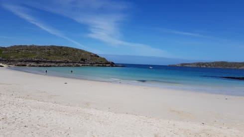 Ernie – Rollerteam 685 pet friendly motorhome