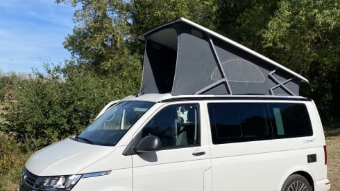 Volkswagen California T6.1 Coast DSG7