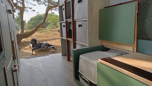 VW Bussy – Volkwagen T5 with outdoor kitchen