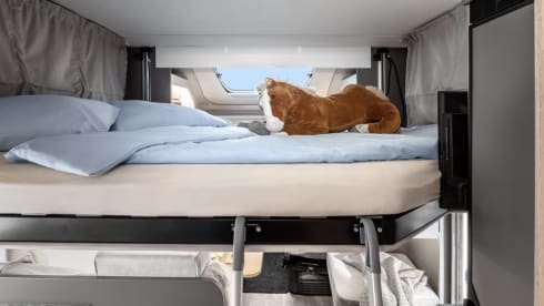 LMC – Wohnmobil LMC