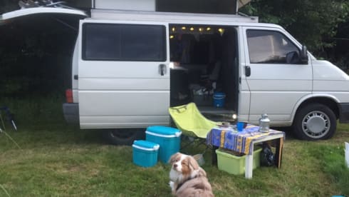 M. Vantastik  – "Home is where the heart goes"