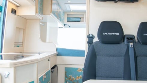 Bloesem – 4p Fiat bus uit 2022