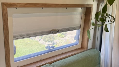 OnTour – 3-seater Fiat bus from 2015