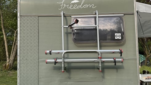 FREEDOM – Trendy Fiat camper for 3 people 🚐