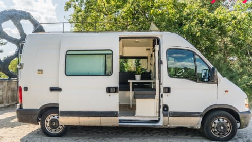 2p Renault bus uit 2001