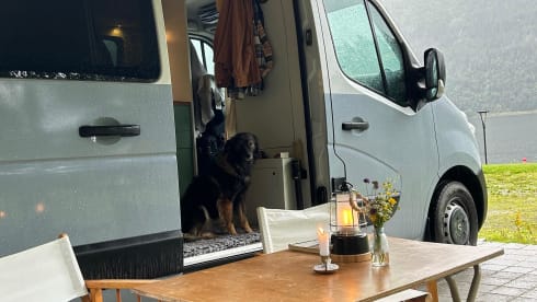 WoodenCabin on Wheels – 3p Renault campervan uit 2025 