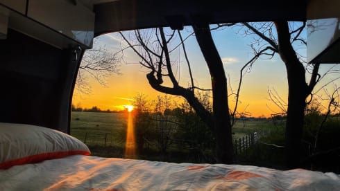 Cilla – 3 berth professionally converted Ford bus (2018)