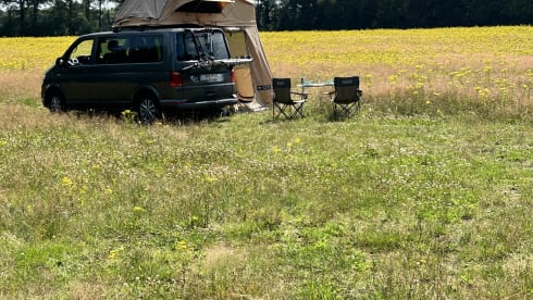 Toit Volkswagen 4p de 2018