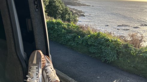 Vw T6 Swamper 