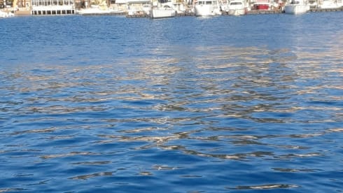 Bodo  – Camper directly delivered to the island of Elba