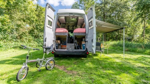 ORBIS – 2p Renault bus from 2018 Travel case built for convenience. none like this