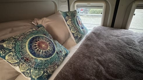 2p Pössl bus uit 2016