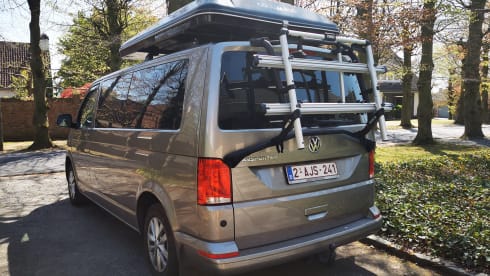 Cozy Custom Volkswagen T6.1 (Automatic!)