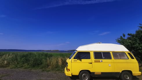 Sunny – 2p Volkswagen campervan from 1981
