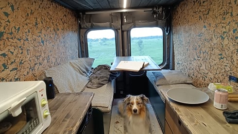 COSY off-grid bus