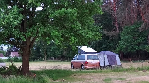 VW California Ocean T6.1 2022