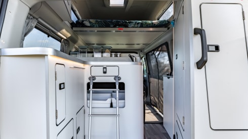 klein maar dapper  – 2 Ford bus nugget from 2019