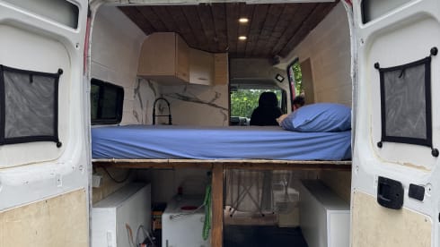 Polka – Van Ducato 