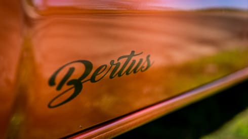 Bertus – 4p Volkswagen campervan from 2018
