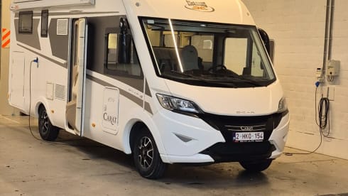 4p McLouis carat integraal uit 2019