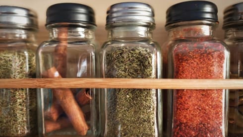 Kermit – On an adventure with our fantastic Kermit the bus camper!