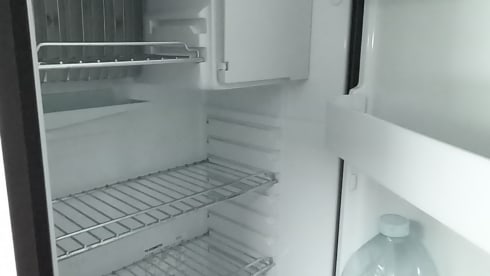 Petunia – The freedom to live in all the wonderful places.