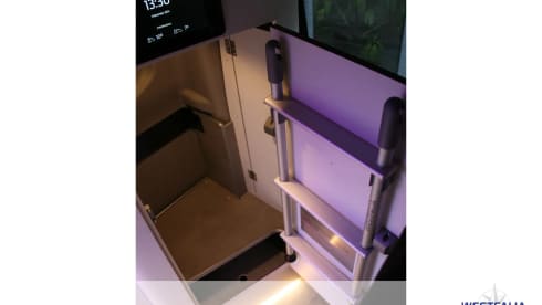 4p Westfalia bus from 2025