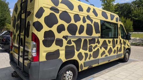 Kirin-Chan – 🦒 Nice unique giraffe camper 🦒