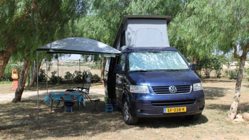 powerful VW T5 Multivan camper van with spacious Reimo pop-up roof