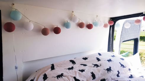 Bustave YFL – Accogliente furgone fai-da-te Ford Transit