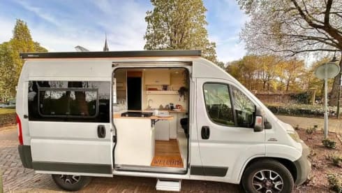 2p Fiat bus uit 2015