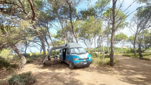 Lola  – Van Automatico