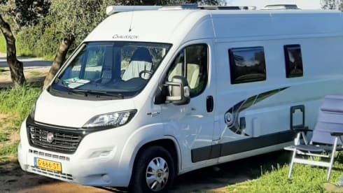2p Fiat bus from 2017