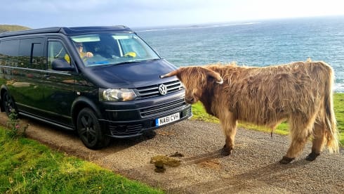 Monika – Vw family T5 -  LWB campervan sleeps 4 