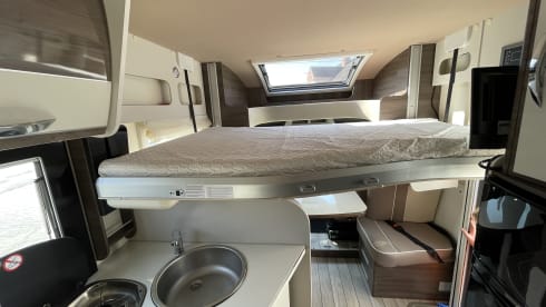 5p Ford bus uit 2024 MClouis CARAT 