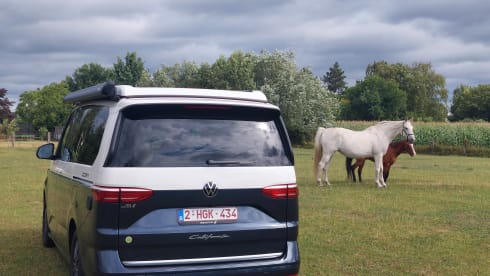 Wanderlust – 4p Volkswagen bus from 2025