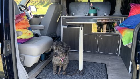 Shiloh  – 2 berth Volkswagen campervan from 2012