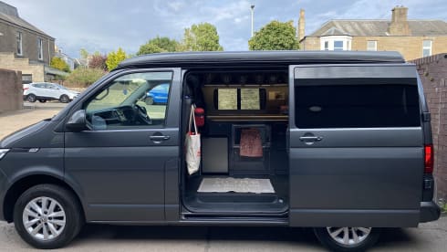 Harley – When Dog Friendly Means Dog Friendly - Luxury VW T6.1 Campervan