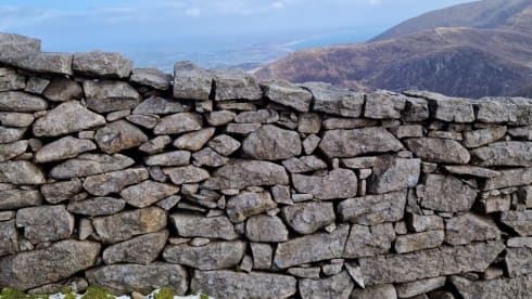 BETTY – ELDDIS VOGUE 155