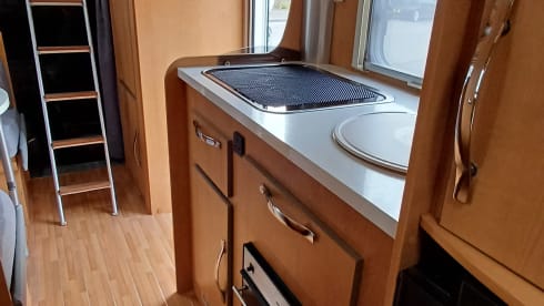 Fiat Ducato  Roller Team 6 berths
