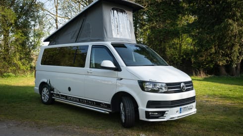 Eleanor  – Volkswagen T6 Highline LWB campervan 