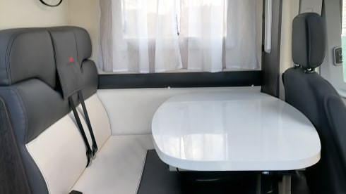 AUTOMATIC - Roller Team Kronos 291TL Ford