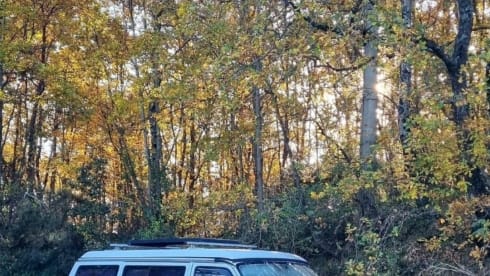 Rino il campeRino – Volkswagen T4 westfalia california