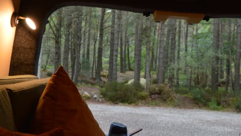 Juniper – Camper ecologico Kia PV5 elettrico su misura a Edimburgo | Ohm Campers